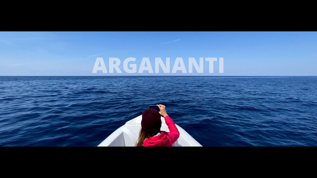 ARGANANTI - Lo spettacolo delle balene a Lampedusa